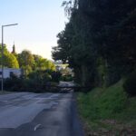 Baumfällung in Schöbing